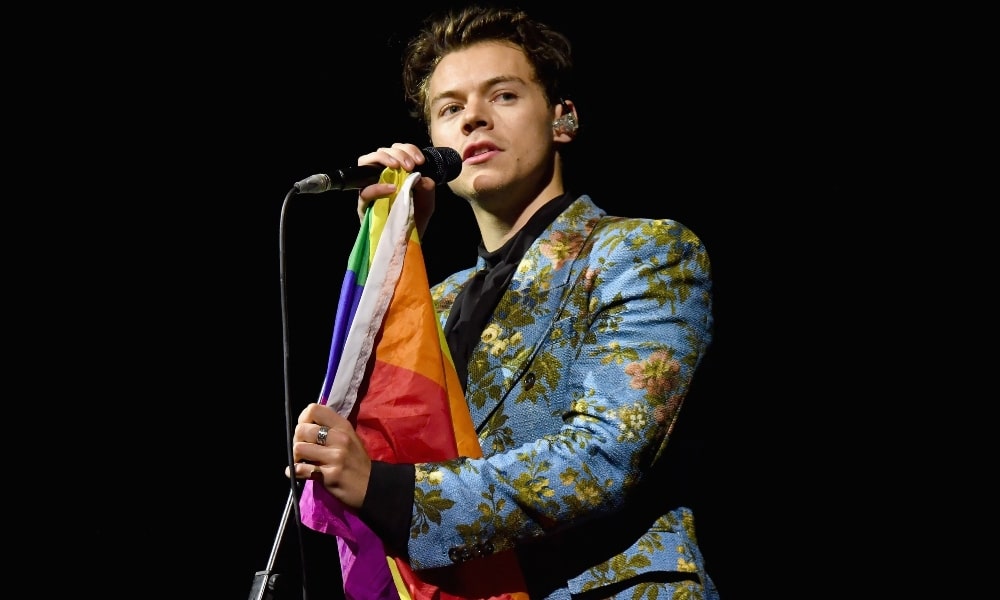 Harry Styles Reveals He is 'A Little Bit Gay'