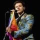 Harry Styles Fan Suing A Famed Concert Venue After His Concert