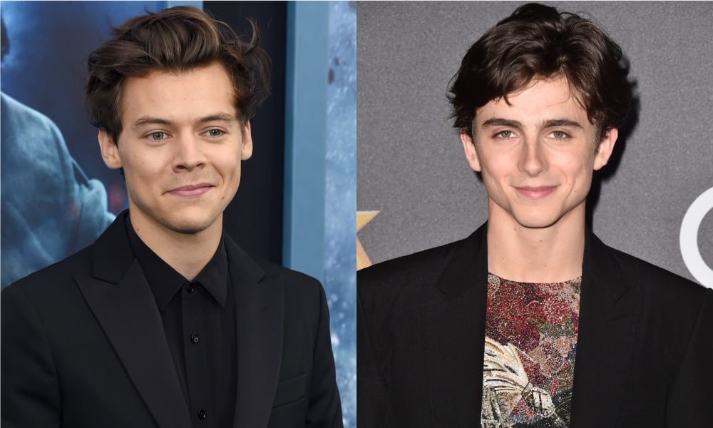 Harry Styles and Timothee Chalamet