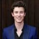 Shawn Mendes attends the 61st Annual GRAMMY Awards