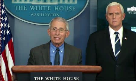 Mike Pence Looks on as Anthony Fauci Acknowledges the 'Extraordinary Stigma' Gays Faced