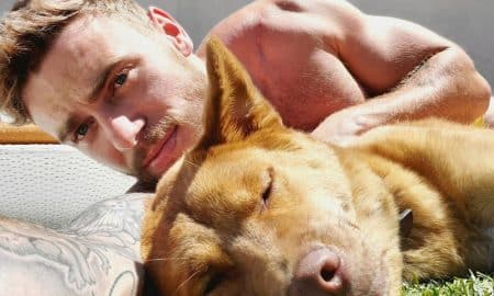 Gus Kenworthy Joins 'Puppy Bowl Presents: The Winter Games'