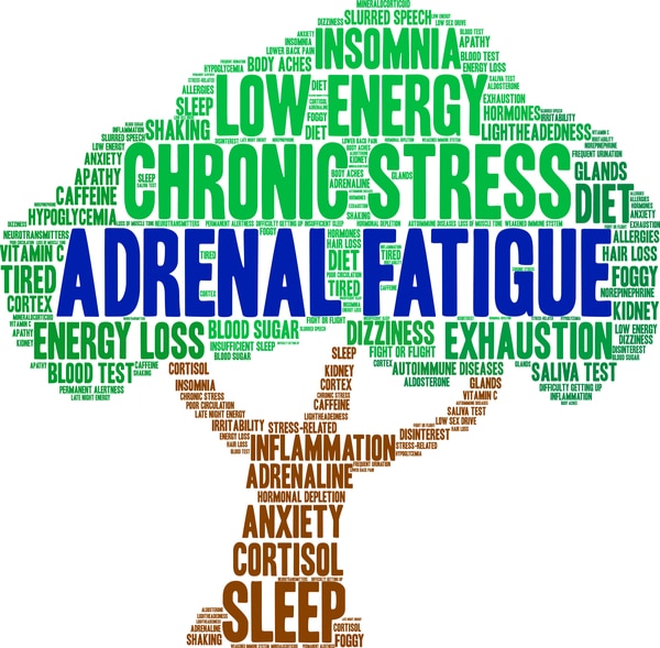 Adrenal Fatigue word cloud on a white background