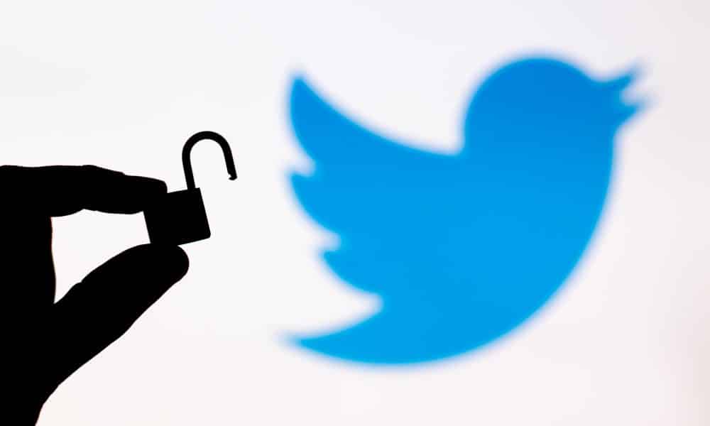 Padlock and Twitter Logo