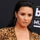 Demi Lovato Quietly Expands Their Pronouns