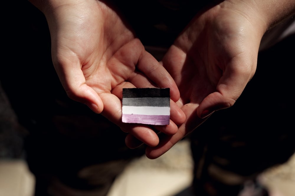 Asexual Pride Flag by Katie Rainbow