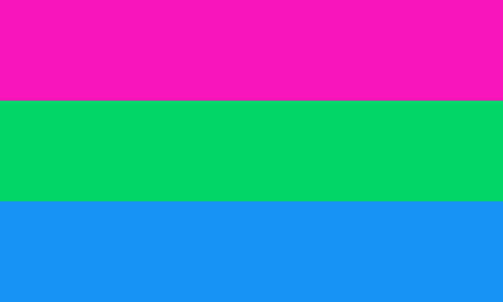 What Is the Polysexual Flag?