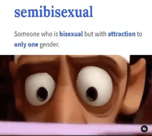 semibisexual meme from instagram