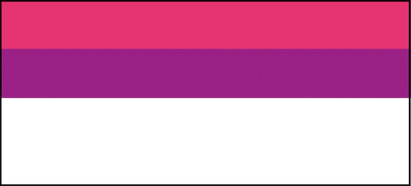 semibisexual flag