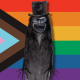 Here's Why The Babadook Is Considered A Gay Icon