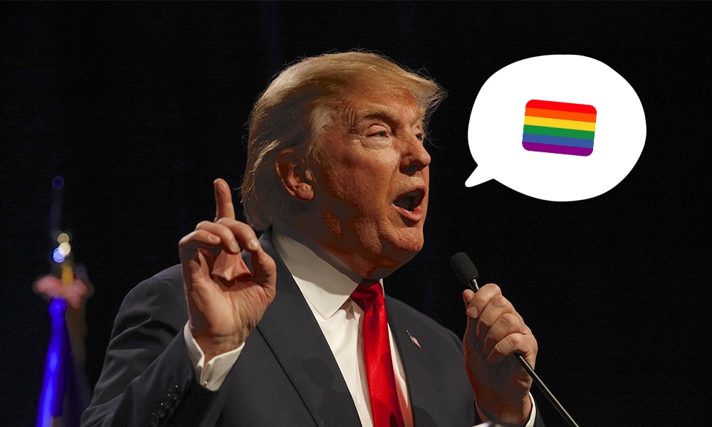 Donald Trump Gay