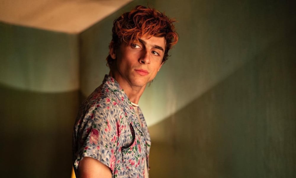 Timothée Chalamet Gets Handsy With a Man in 'Bones and All'