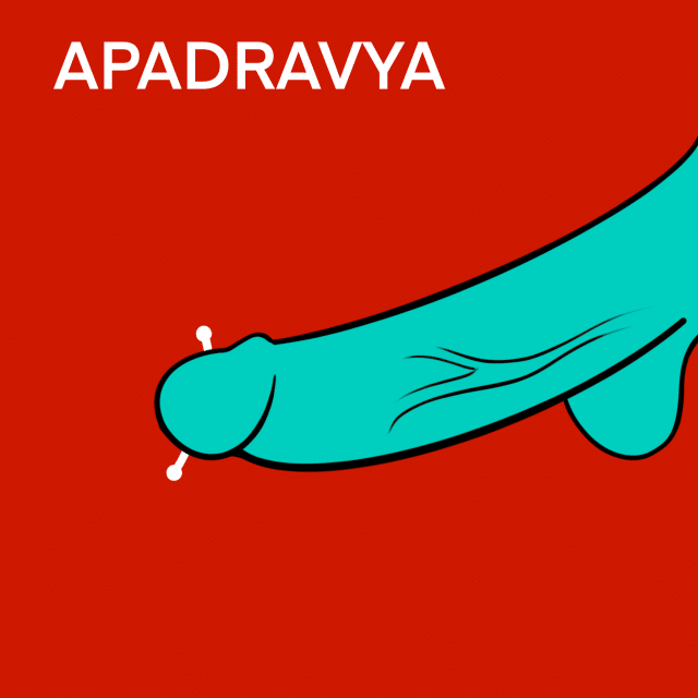 Illustrated Guide to Male Genital Piercings: Apadravya Piercing