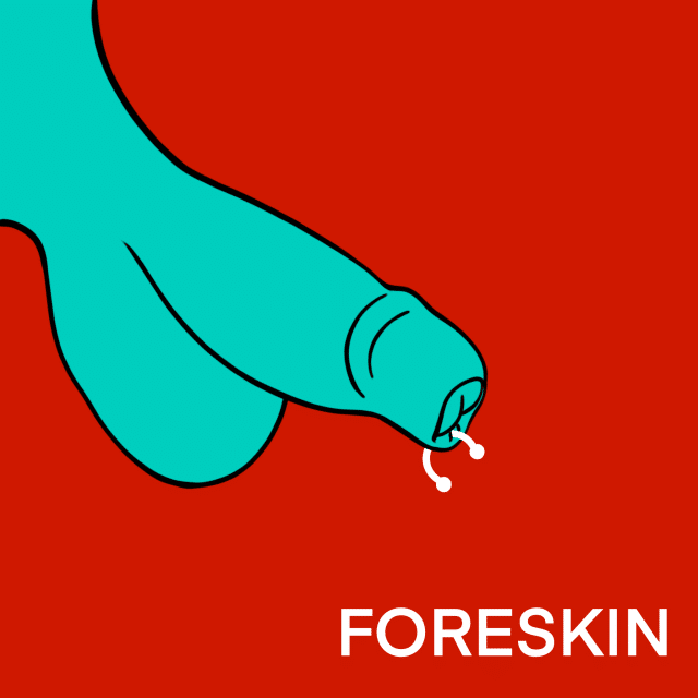 Illustrated Guide to Male Genital Piercings: Foreskin Piercing