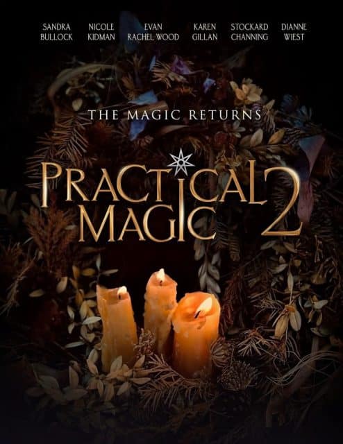 Practical Magic 2 Poster 494x640 