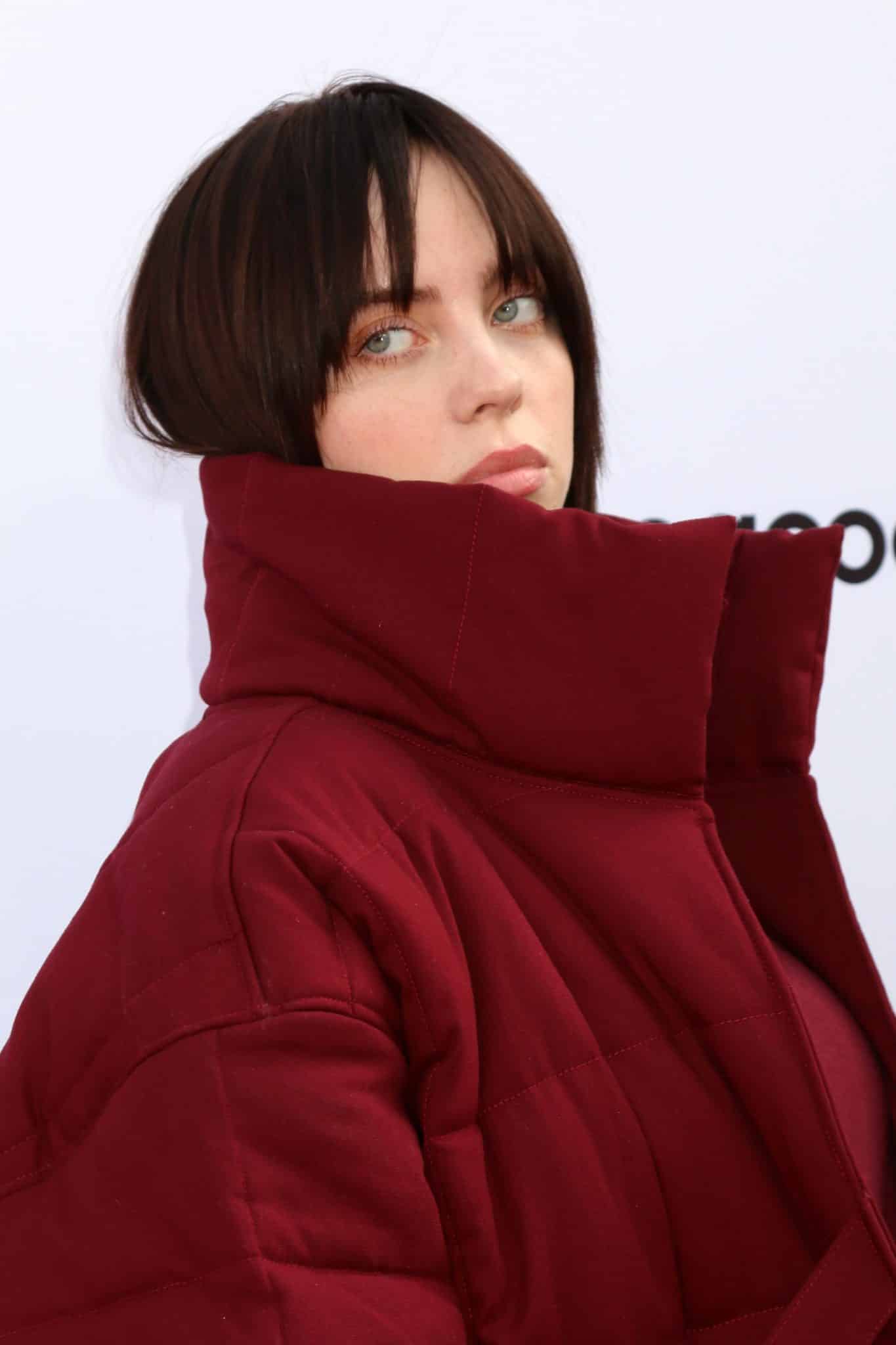 Did Billie Eilish Just Break The Internet? The Photo That's Got Everyone Talking