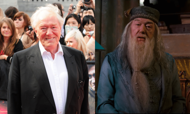 Michael Gambon, Dumbledore Actor In The 'Harry Potter' Franchise, Dies ...