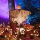 This is a photo from the pumpkin garden at Descanso Gardens' Carved Halloween event.