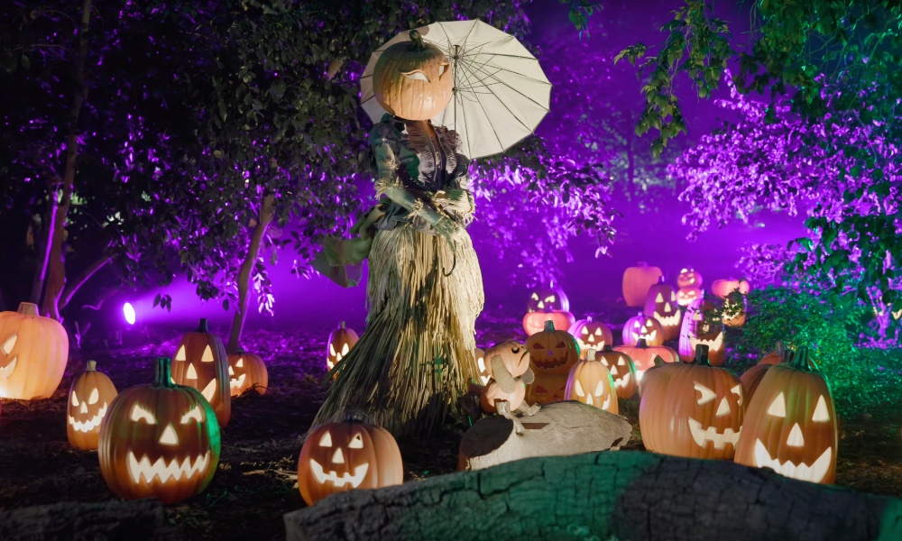 This is a photo from the pumpkin garden at Descanso Gardens' Carved Halloween event.