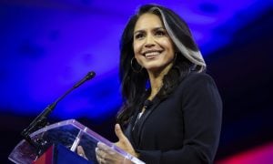 Tulsi Gabbard